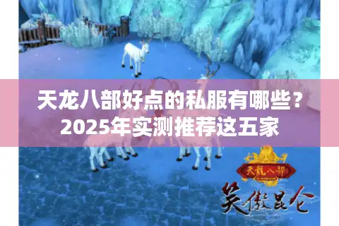 天龙八部好点的私服有哪些？2025年实测推荐这五家