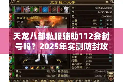 天龙八部私服辅助112会封号吗？2025年实测防封攻略大揭秘
