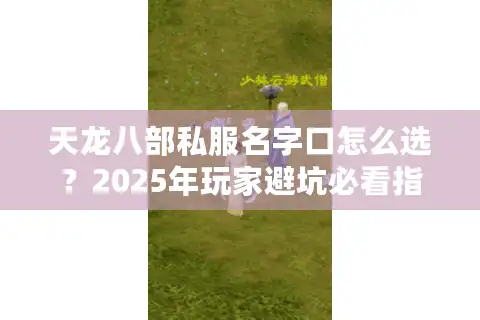 天龙八部私服名字口怎么选?2025年玩家避坑必看指南 天龙八部私服名字口怎么选?2025年玩家避坑必看指南