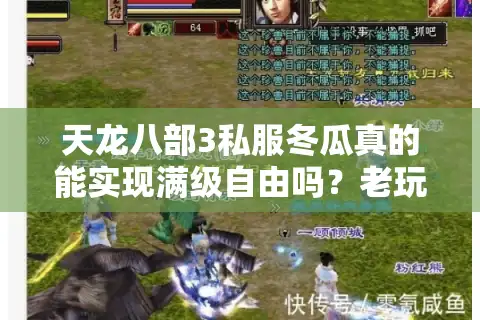 天龙八部3私服冬瓜真的能实现满级自由吗？老玩家实测避坑指南