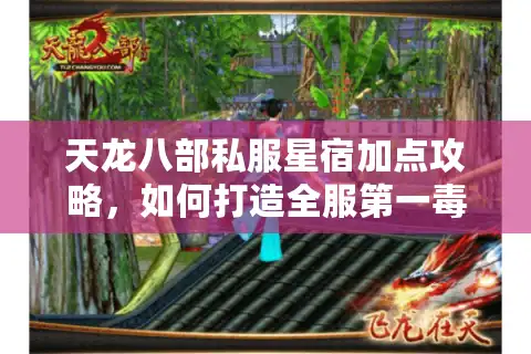 天龙八部私服星宿加点攻略，如何打造全服第一毒攻流派？