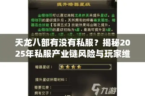 天龙八部有没有私服？揭秘2025年私服产业链风险与玩家维权指南