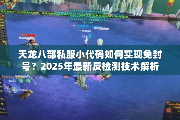 天龙八部私服小代码如何实现免封号？2025年最新反检测技术解析