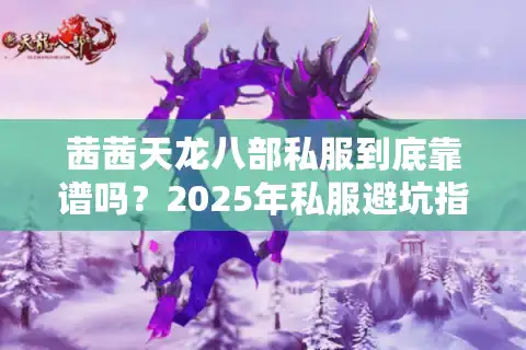 茜茜天龙八部私服到底靠谱吗？2025年私服避坑指南