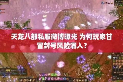 天龙八部私服微博曝光 为何玩家甘冒封号风险涌入？