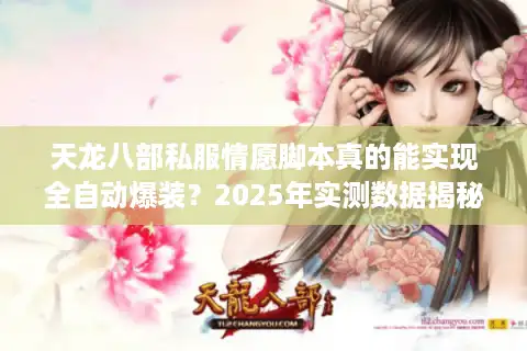 天龙八部私服情愿脚本真的能实现全自动爆装？2025年实测数据揭秘