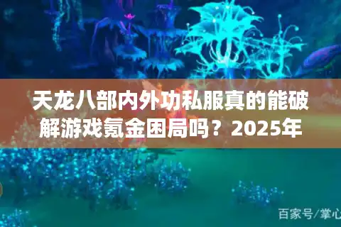 天龙八部内外功私服真的能破解游戏氪金困局吗？2025年私服生态调查报告