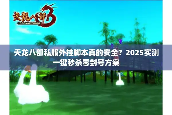 天龙八部私服外挂脚本真的安全？2025实测一键秒杀零封号方案