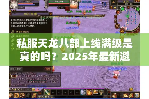 私服天龙八部上线满级是真的吗？2025年最新避坑指南