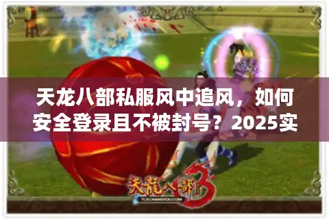 天龙八部私服风中追风，如何安全登录且不被封号？2025实测报告