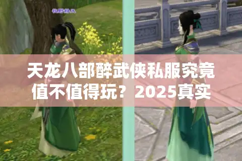 天龙八部醉武侠私服究竟值不值得玩？2025真实测评揭秘