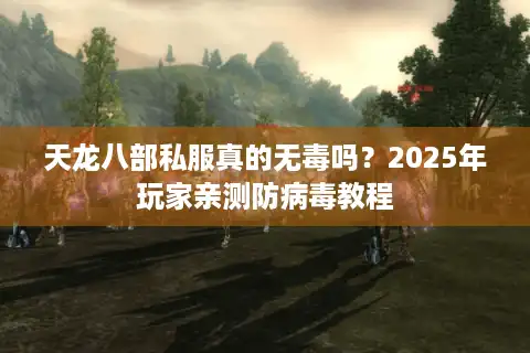 天龙八部私服真的无毒吗？2025年玩家亲测防病毒教程