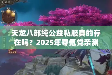 天龙八部纯公益私服真的存在吗？2025年零氪党亲测真相