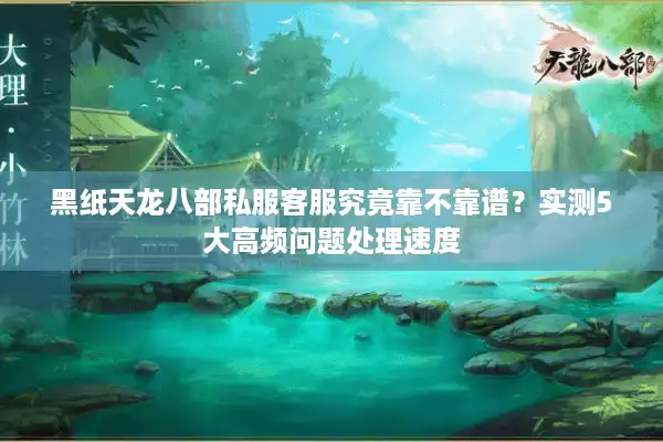 黑纸天龙八部私服客服究竟靠不靠谱？实测5大高频问题处理速度
