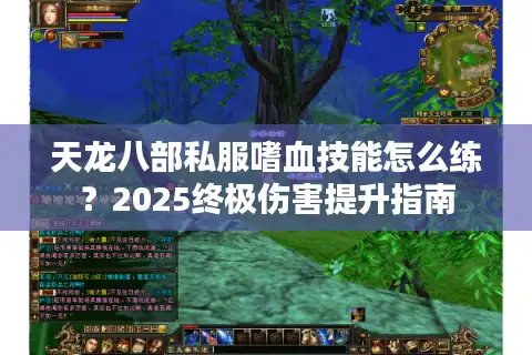 天龙八部私服嗜血技能怎么练？2025终极伤害提升指南