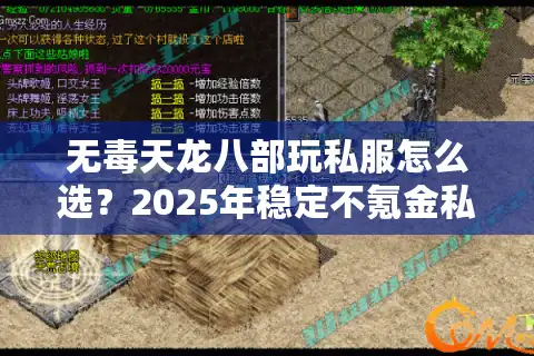 无毒天龙八部玩私服怎么选？2025年稳定不氪金私服推荐清单