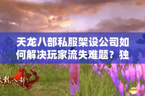 天龙八部私服架设公司如何解决玩家流失难题？独家技术+合规运营解析