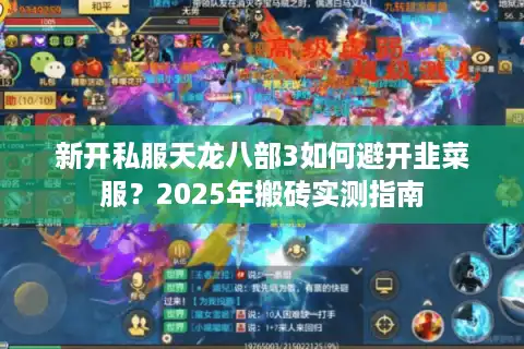 新开私服天龙八部3如何避开韭菜服？2025年搬砖实测指南