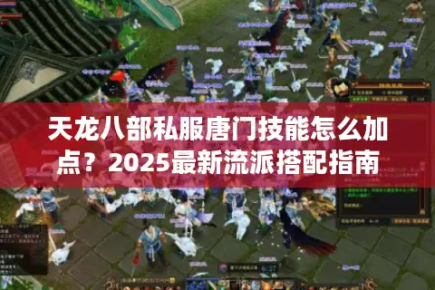 天龙八部私服唐门技能怎么加点？2025最新流派搭配指南