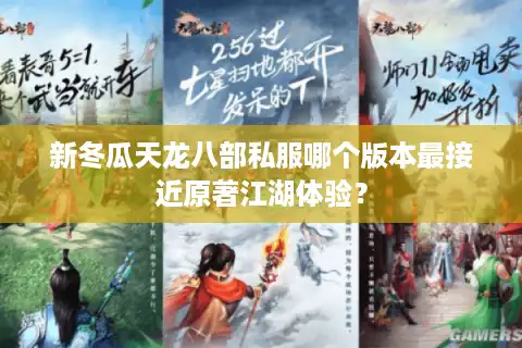 新冬瓜天龙八部私服哪个版本最接近原著江湖体验？