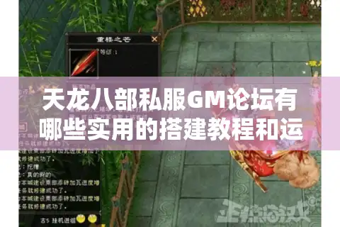 天龙八部私服GM论坛有哪些实用的搭建教程和运营技巧?