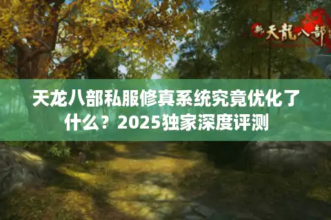 天龙八部私服修真系统究竟优化了什么？2025独家深度评测