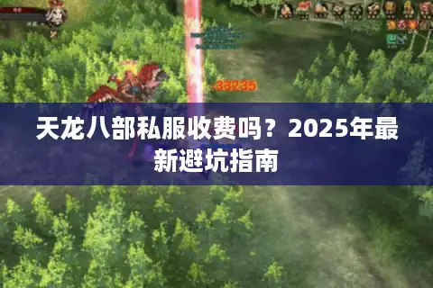 天龙八部私服收费吗？2025年最新避坑指南