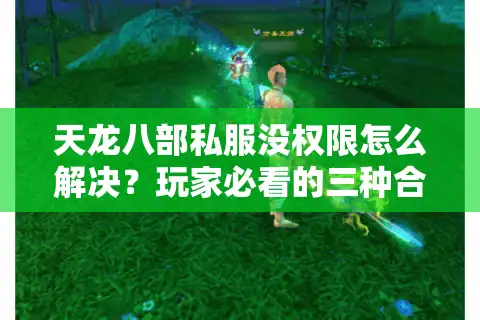 天龙八部私服没权限怎么解决？玩家必看的三种合法操作指南