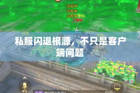 私服闪退根源，不只是客户端问题