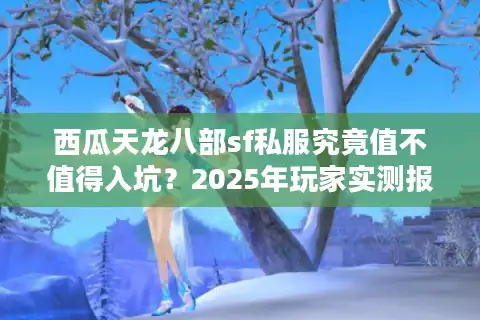 西瓜天龙八部sf私服究竟值不值得入坑？2025年玩家实测报告