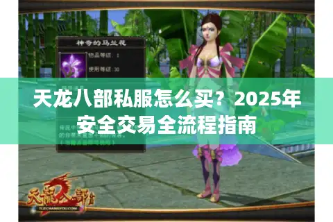 天龙八部私服怎么买？2025年安全交易全流程指南