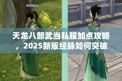 天龙八部武当私服加点攻略，2025新版经脉如何突破战力天花板？