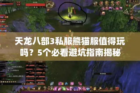 天龙八部3私服熊猫服值得玩吗？5个必看避坑指南揭秘