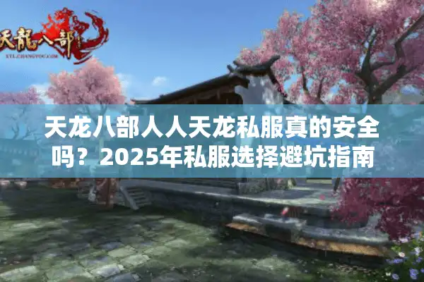 天龙八部人人天龙私服真的安全吗？2025年私服选择避坑指南