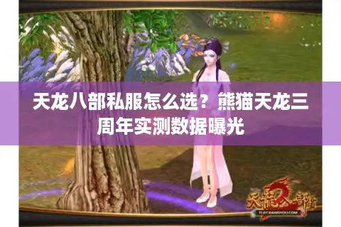 天龙八部私服怎么选？熊猫天龙三周年实测数据曝光