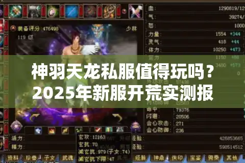 神羽天龙私服值得玩吗？2025年新服开荒实测报告