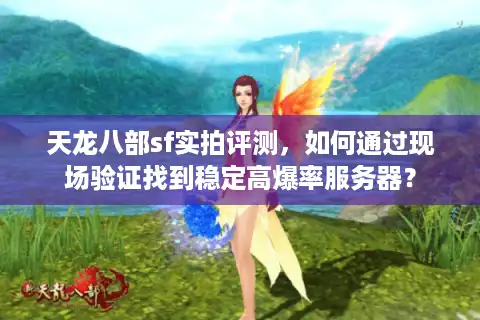 天龙八部sf实拍评测，如何通过现场验证找到稳定高爆率服务器？