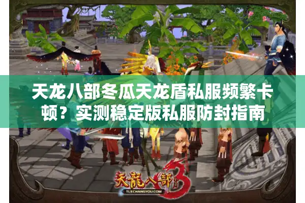 天龙八部冬瓜天龙盾私服频繁卡顿？实测稳定版私服防封指南