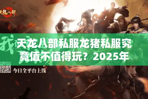 天龙八部私服龙猪私服究竟值不值得玩？2025年私服玩家避坑指南