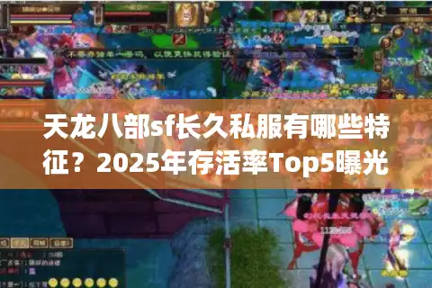 天龙八部sf长久私服有哪些特征？2025年存活率Top5曝光