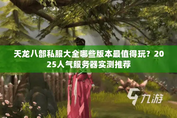 天龙八部私服大全哪些版本最值得玩？2025人气服务器实测推荐