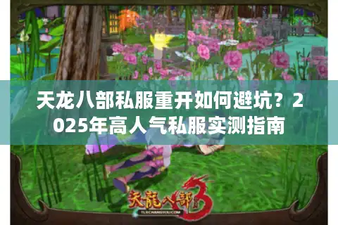 天龙八部私服重开如何避坑？2025年高人气私服实测指南