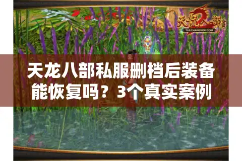 天龙八部私服删档后装备能恢复吗？3个真实案例揭示真相