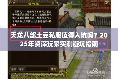 天龙八部土豆私服值得入坑吗？2025年资深玩家实测避坑指南