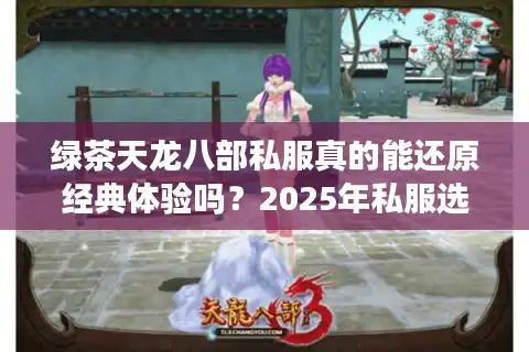 绿茶天龙八部私服真的能还原经典体验吗？2025年私服选择指南