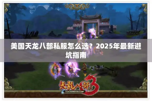 美国天龙八部私服怎么选？2025年最新避坑指南