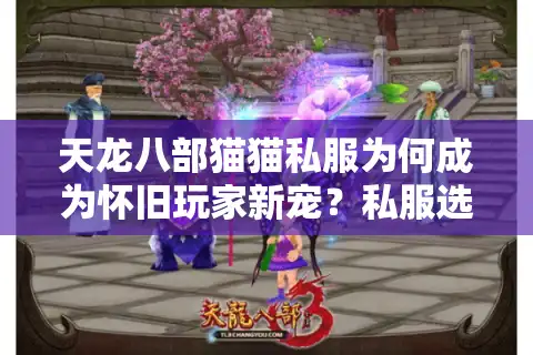 天龙八部猫猫私服为何成为怀旧玩家新宠？私服选择与避坑指南