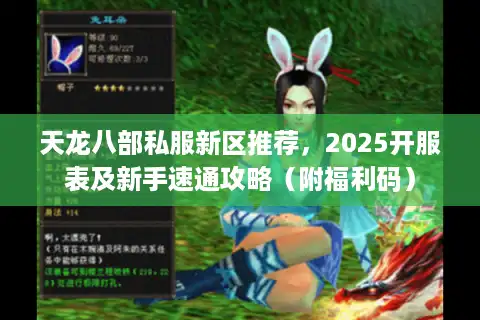 天龙八部私服新区推荐，2025开服表及新手速通攻略（附福利码）