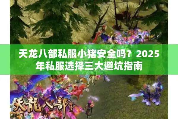天龙八部私服小猪安全吗？2025年私服选择三大避坑指南