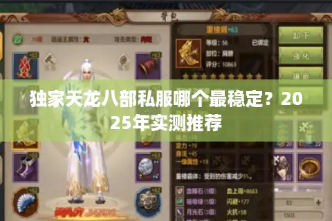 独家天龙八部私服哪个最稳定？2025年实测推荐